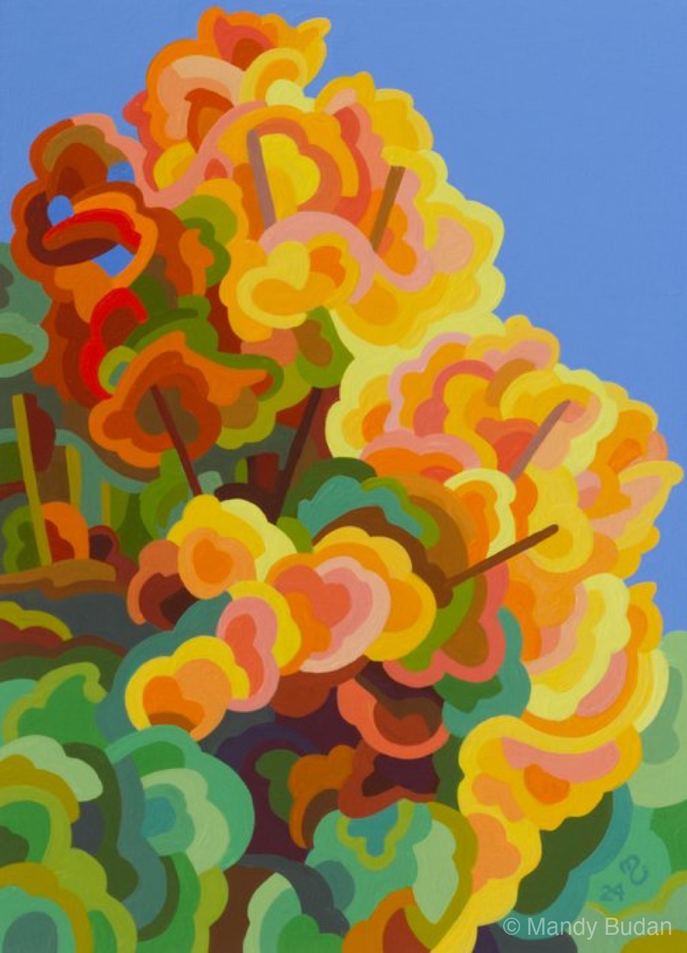 Study 207 by Mandy Budan