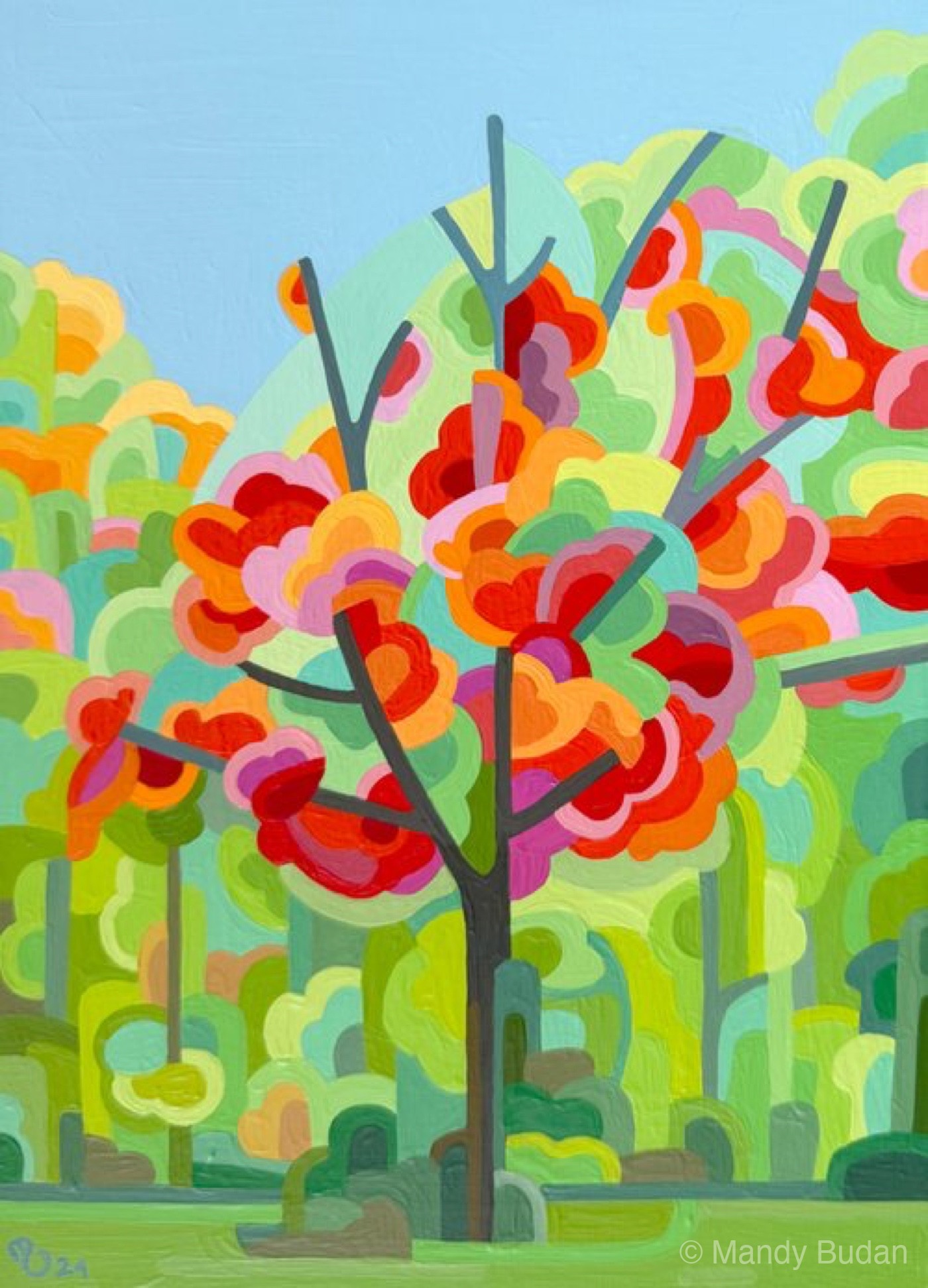 Study 210 by Mandy Budan
