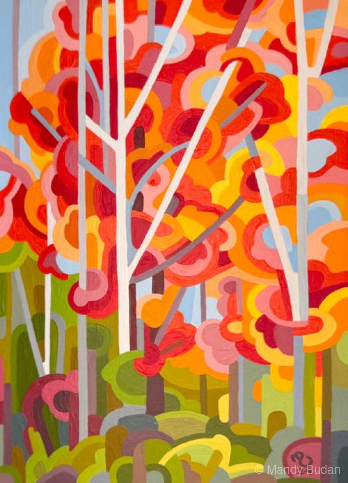 Study 211 by Mandy Budan