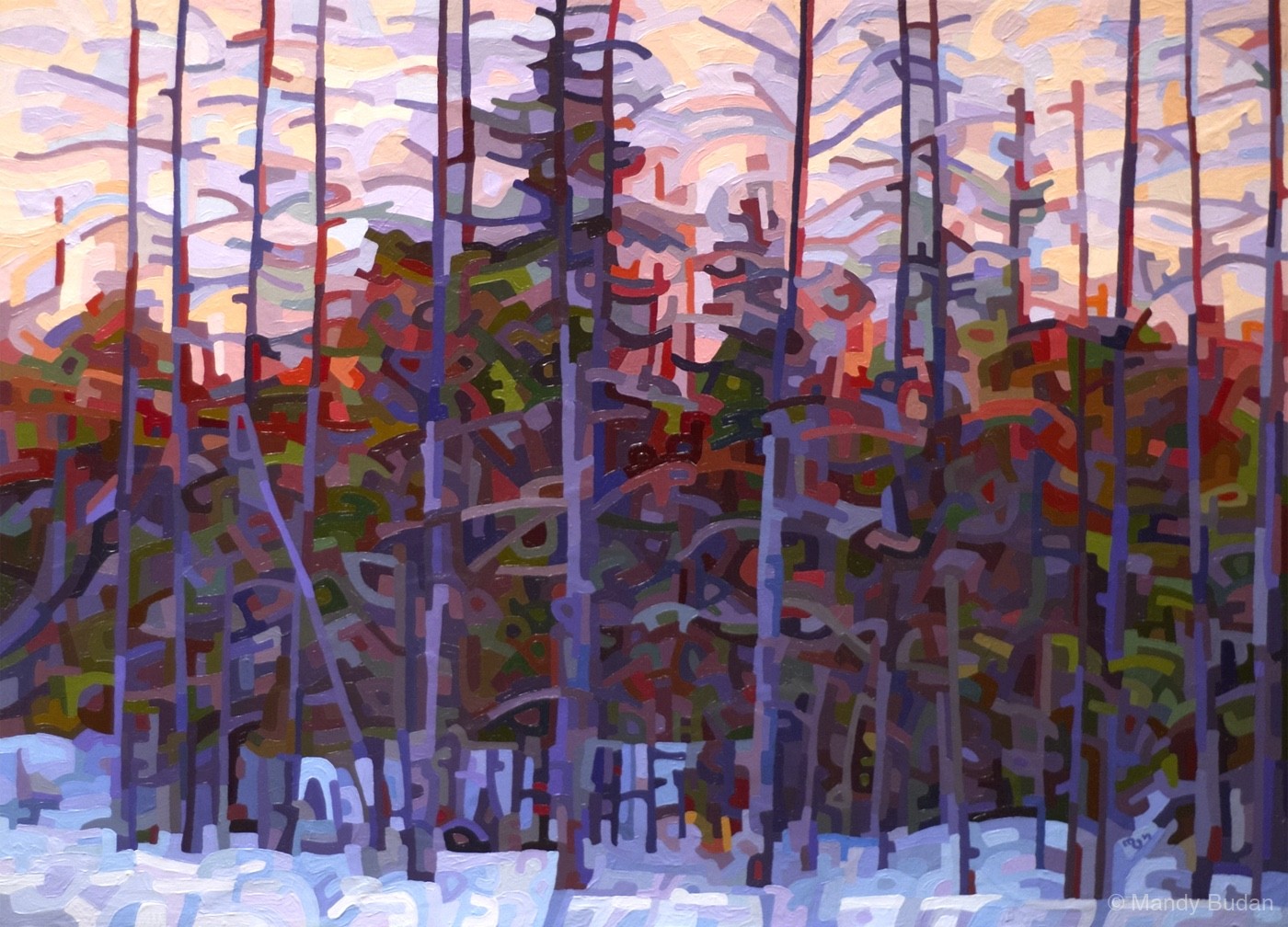 Deepening shadows colour the snow blue. The sunset paints a fire of reds and oranges behind the forest. by Mandy Budan