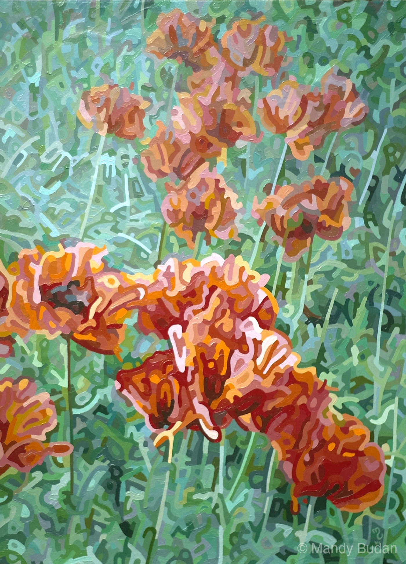 A field or poppies marches up a verdant hill. Poppies by Mandy Budan