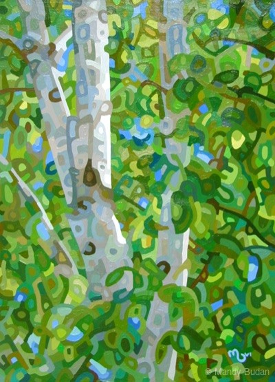 Summer Birches