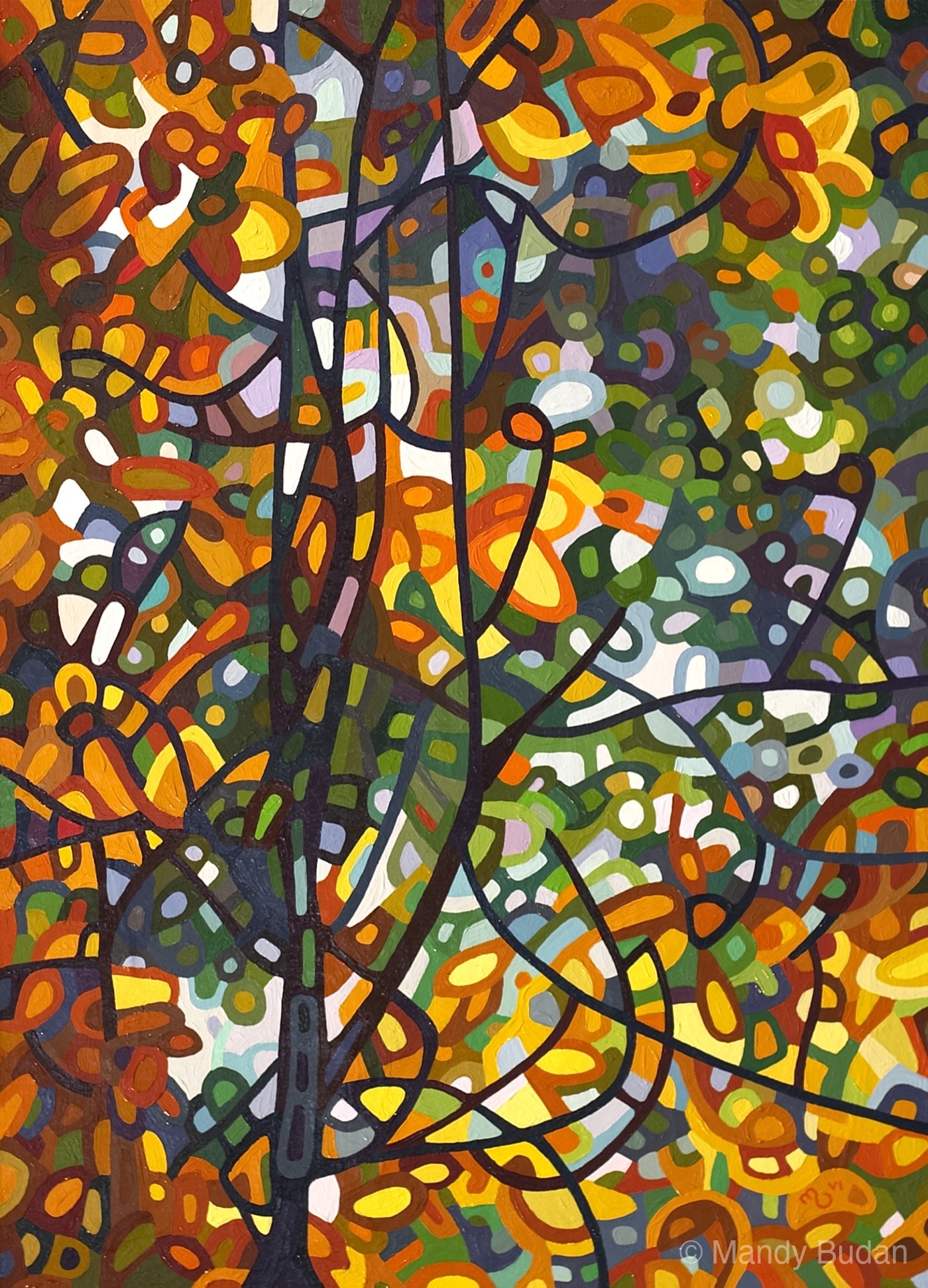The sun shines through leaves that are just starting to turn on this late summer day. by Mandy Budan