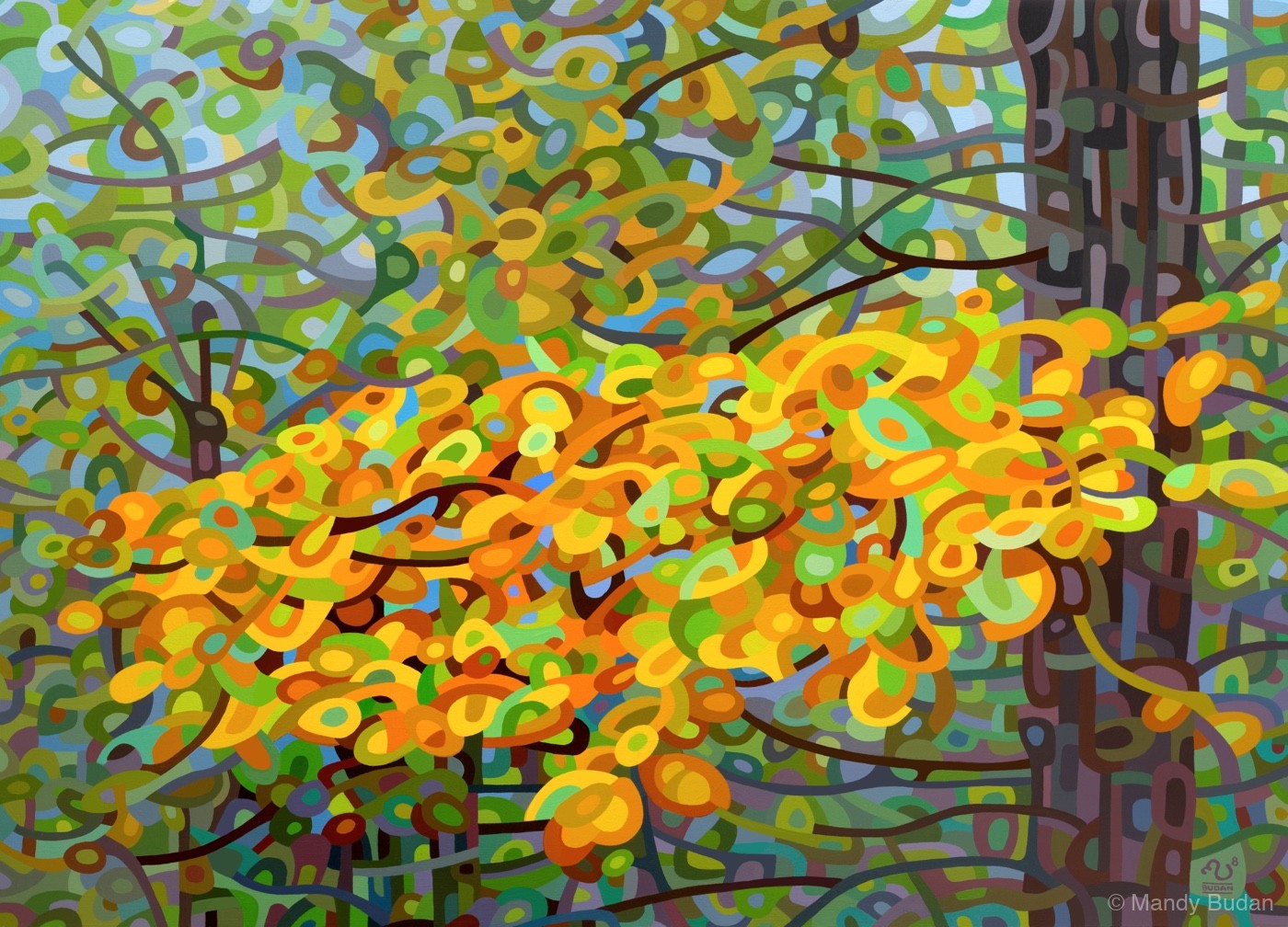Deep in the forest, the morning sun burns off the mist and brightens the leaves. by Mandy Budan