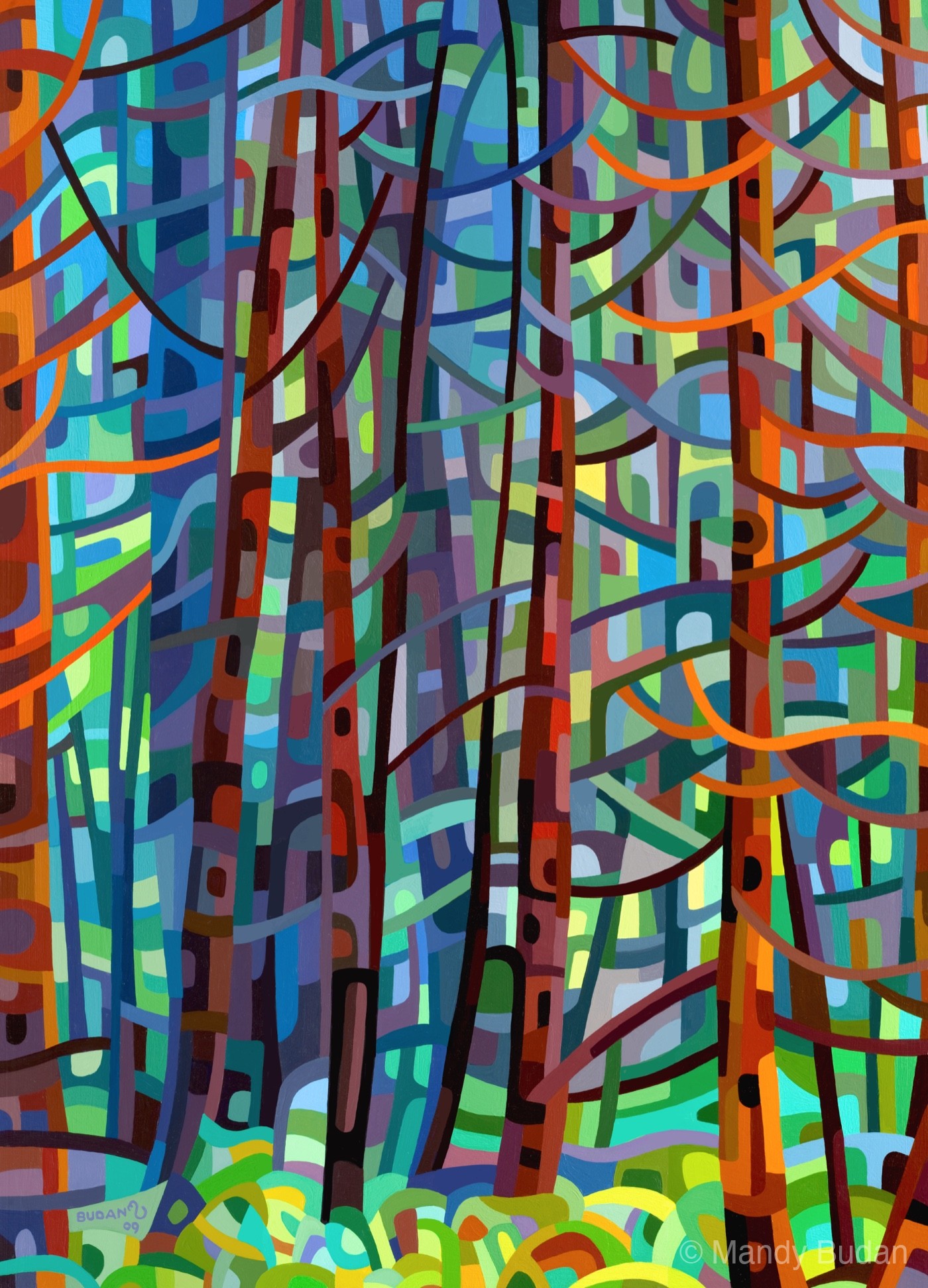 This is one of those forests that completely surrounds and envelopes you. The filtered sunlight creates wonderful patterns...