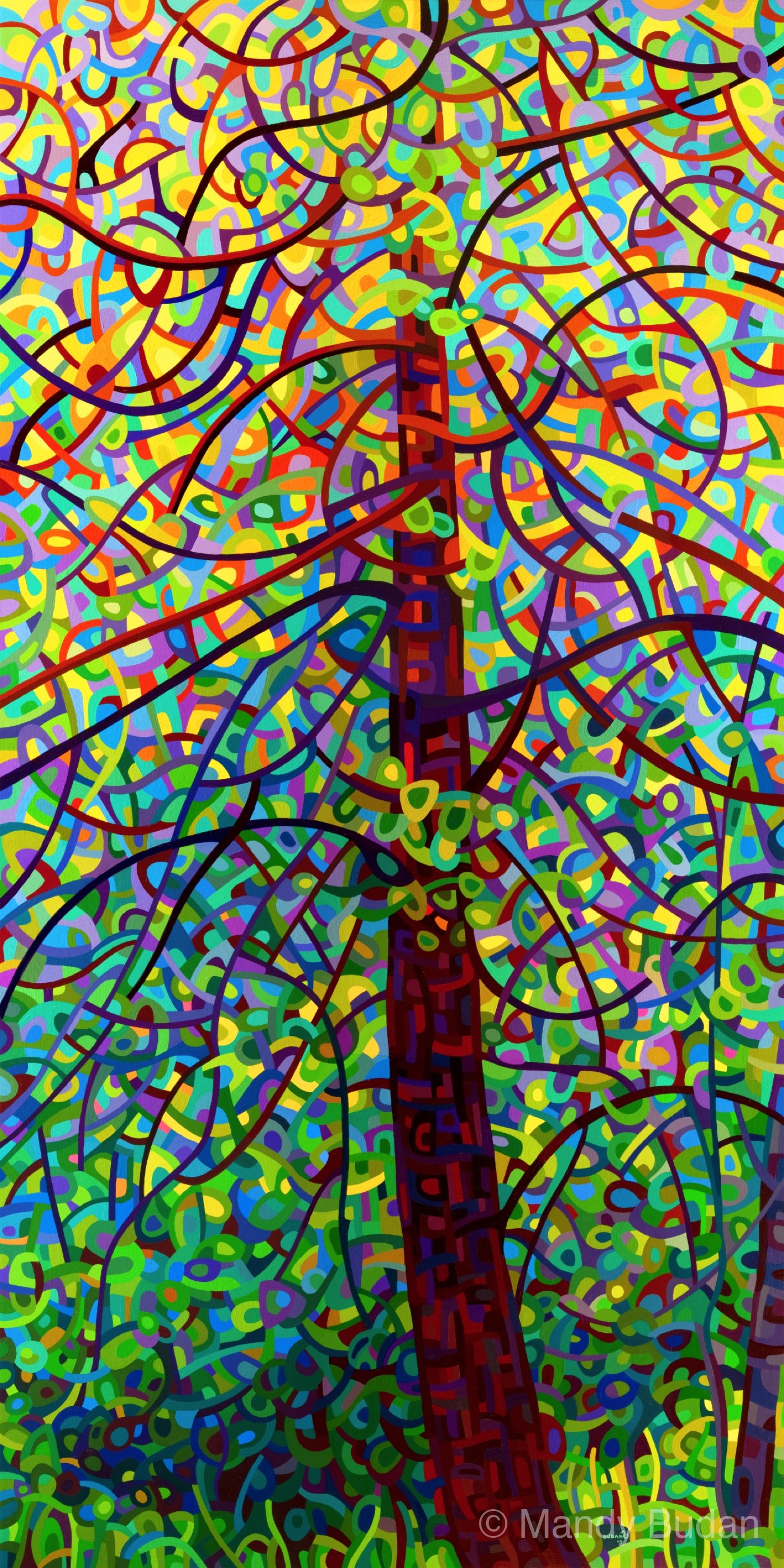 A magnificent tree stands wreathed in light that moves and changes with the gentle breezes of a late summer day. by Mandy ...