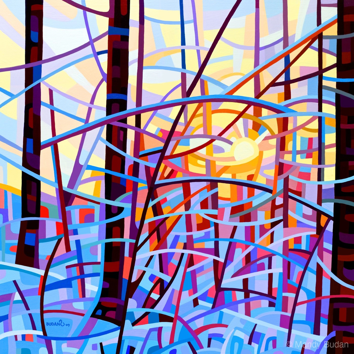 Early morning sun hits the sleeping forest and deepens the shadows against the snow. by Mandy Budan