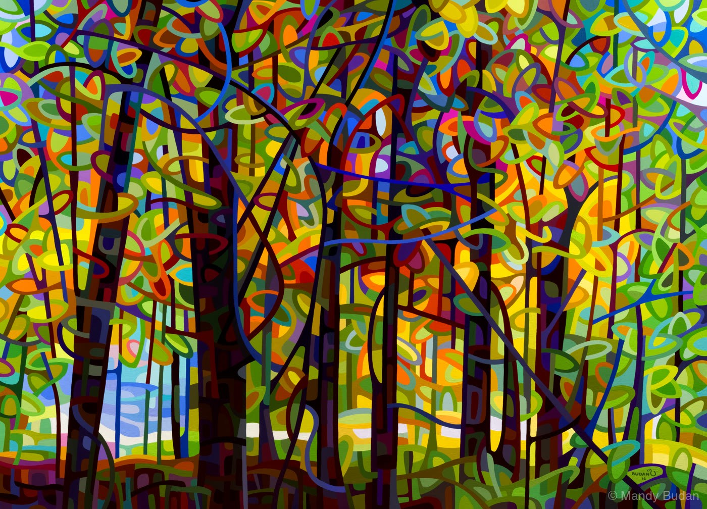 Several trees stand in awe of the exuberant display of colour and light that only an autumn forest can provide. by Mandy B...