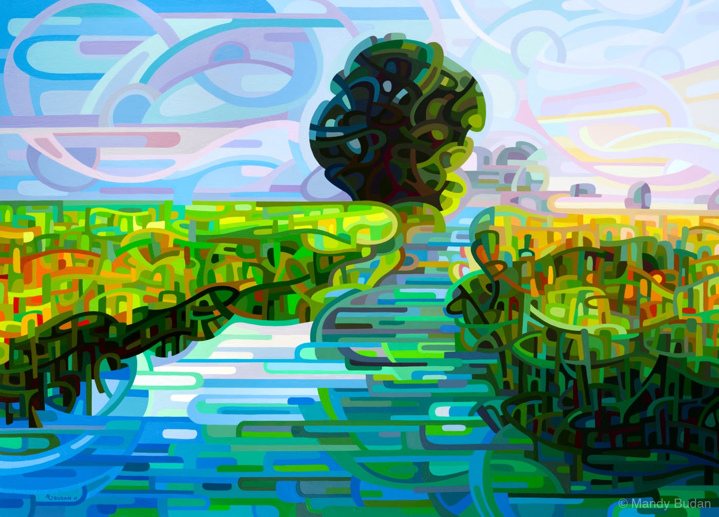 The rising sun hasn't reached the weland grasses yet; dark greens and blues hold their secrets close. by Mandy Budan