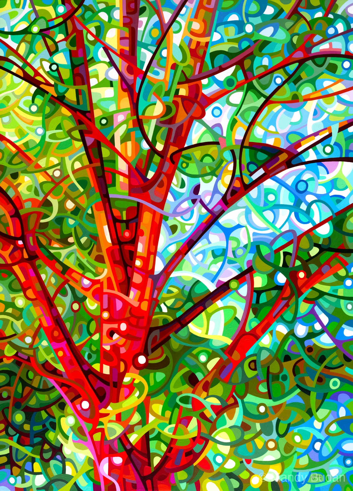 A perfect day - soft warm sunlight, cool blue breezes, the steadfast reds in the trunk and the playful greens in the leave...