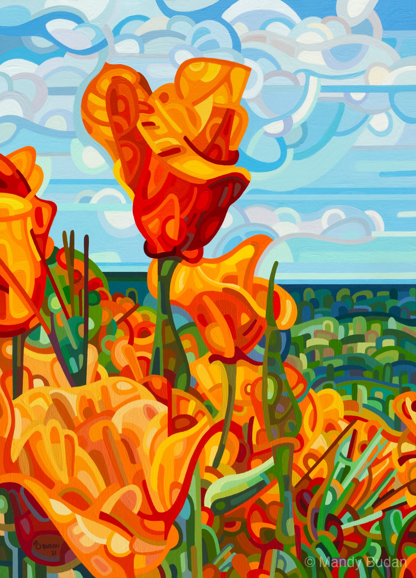 A summer afternoon of poppies, field and sky. by Mandy Budan