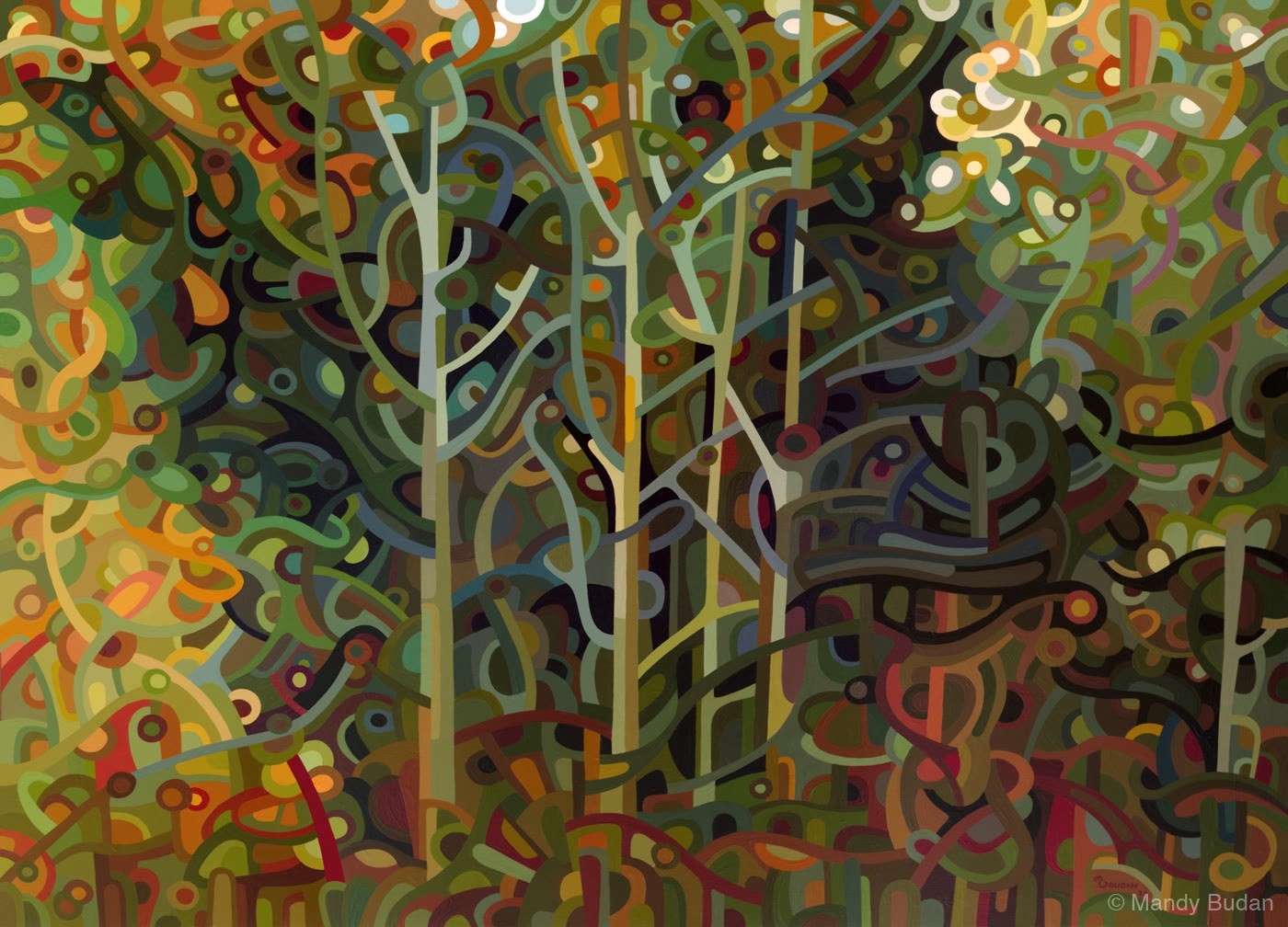 As fall comes to a close the forest becomes a slightly menacing tangle of dark coppers and reds with only a patina of gree...