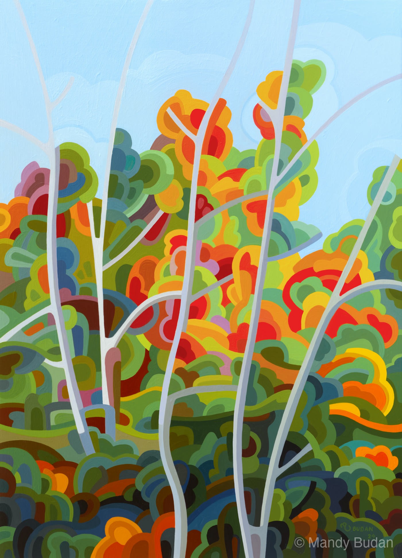 A quiet day in early fall; the oranges and reds are slowly usurping the complacent court of the greens. by Mandy Budan
