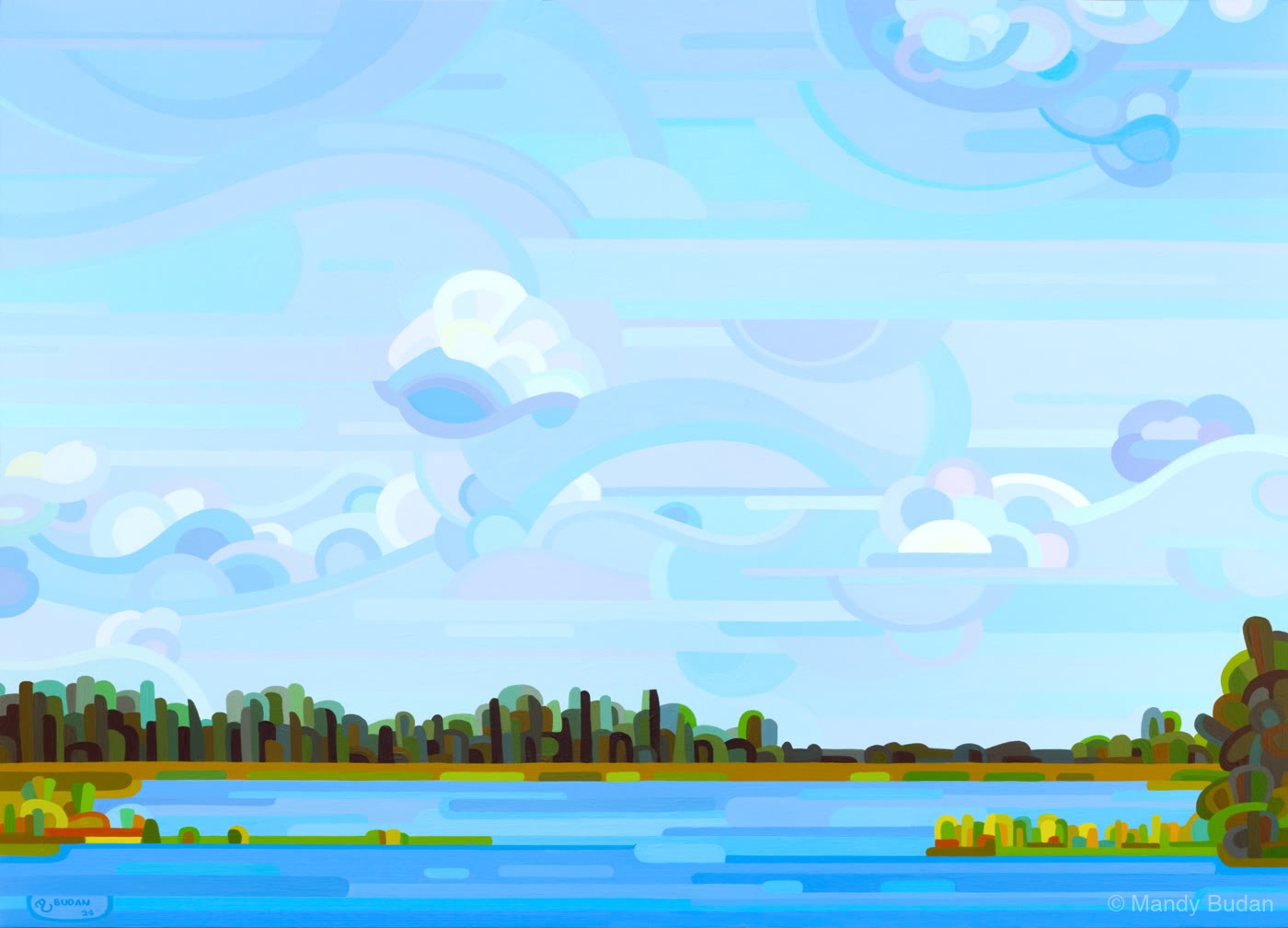 A quiet summer day; the surface of the wetlands hides the complex machinations below.