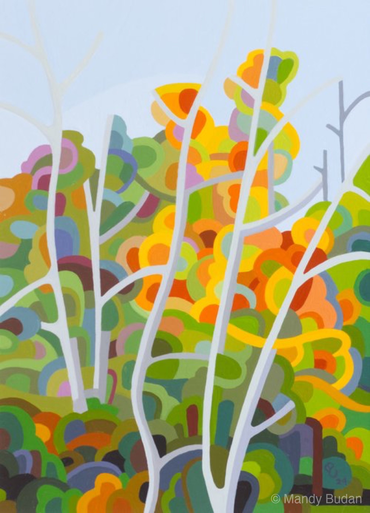 Study 204 by Mandy Budan