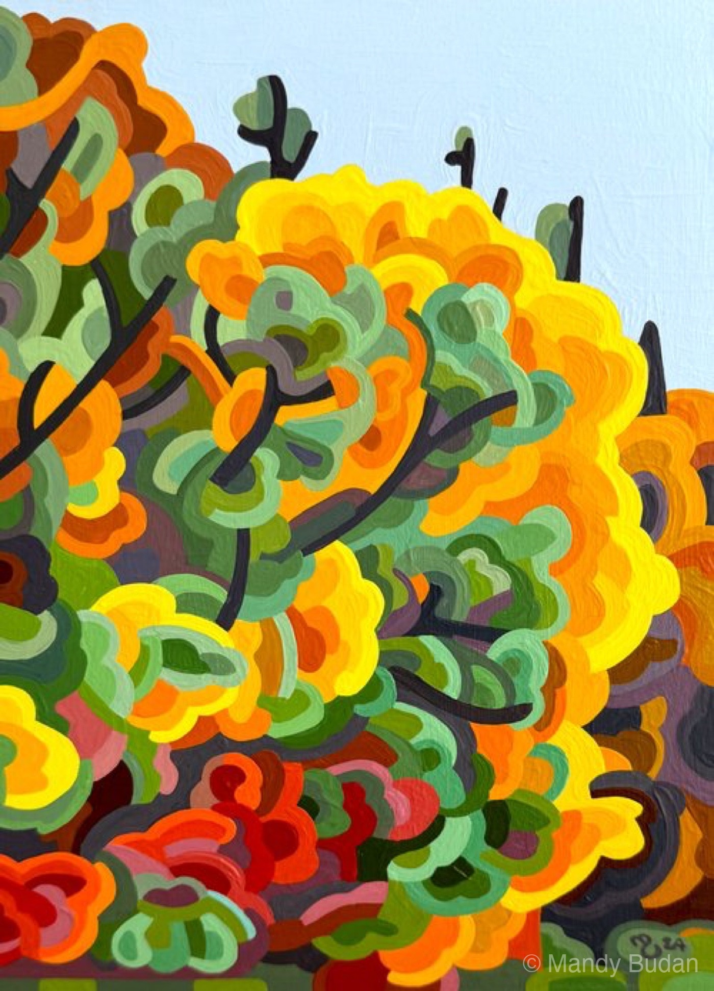 Study 205 by Mandy Budan